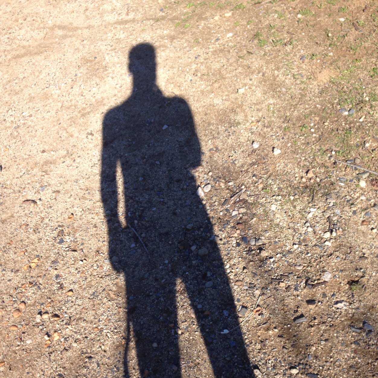 carles bibiloni (@charliebibiloni) | Twitter