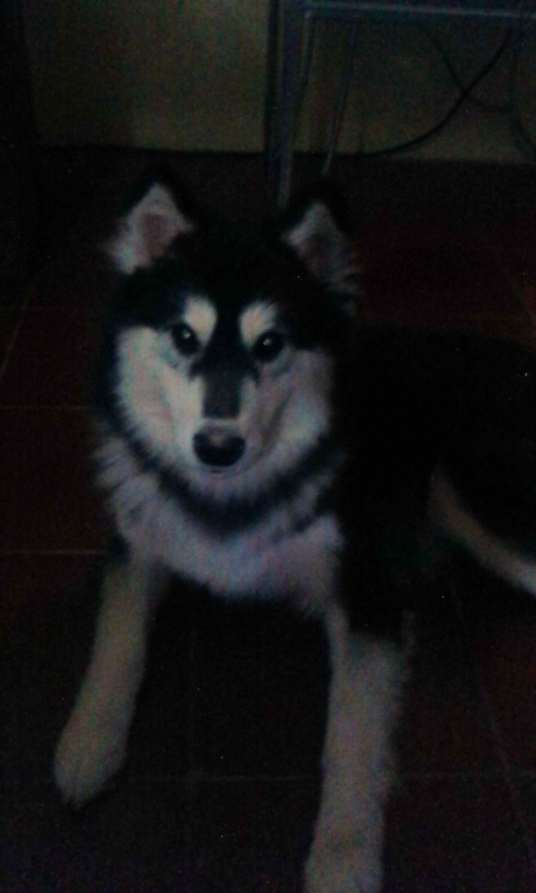 CristoR_12's profile picture. Seguidor de Jesús
Pasatiempos Futbol, Music...etc.
El tiempo restante pensando [ '_' ]?