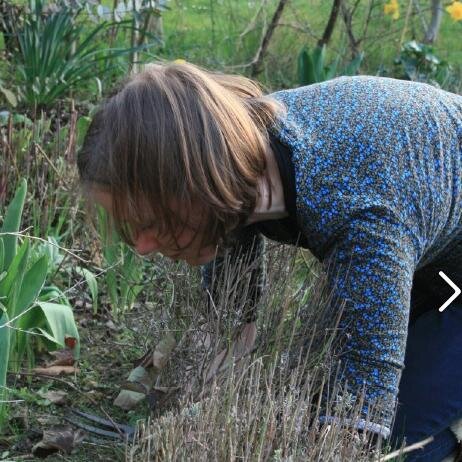 Head gardener of Sunnyside, a beautiful but little known garden in Kent tucked away behind my house. I have a tweed fixation and ideas far above my station.