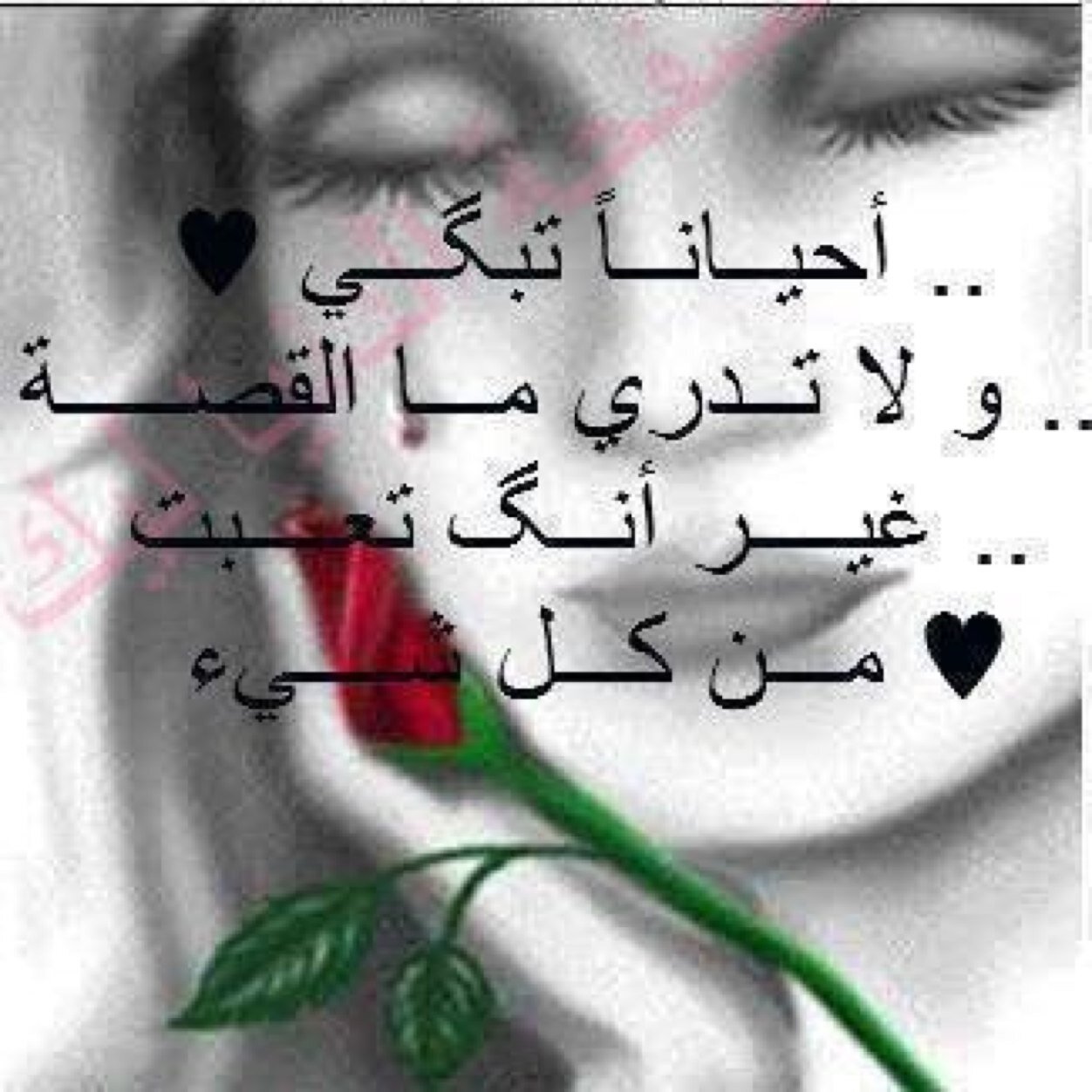 t0502392386's profile picture. 