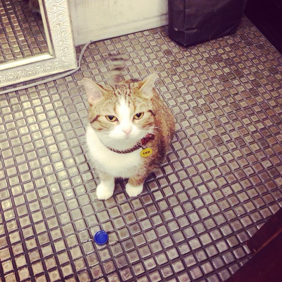 sheaufeng0623's profile picture. 