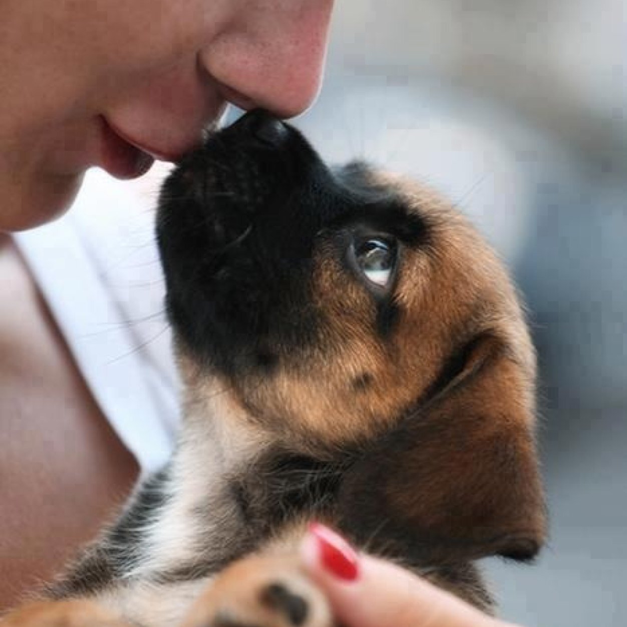 RayCheerAllStar's profile picture. 