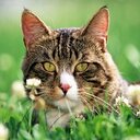 sherry dunham - @sherrydunham46 - Twitter