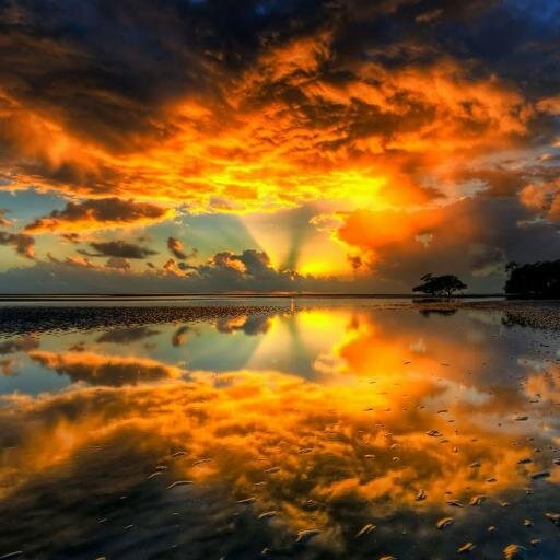 Photography and Art!
Tweet us your personal photographs or your favorite pictures!