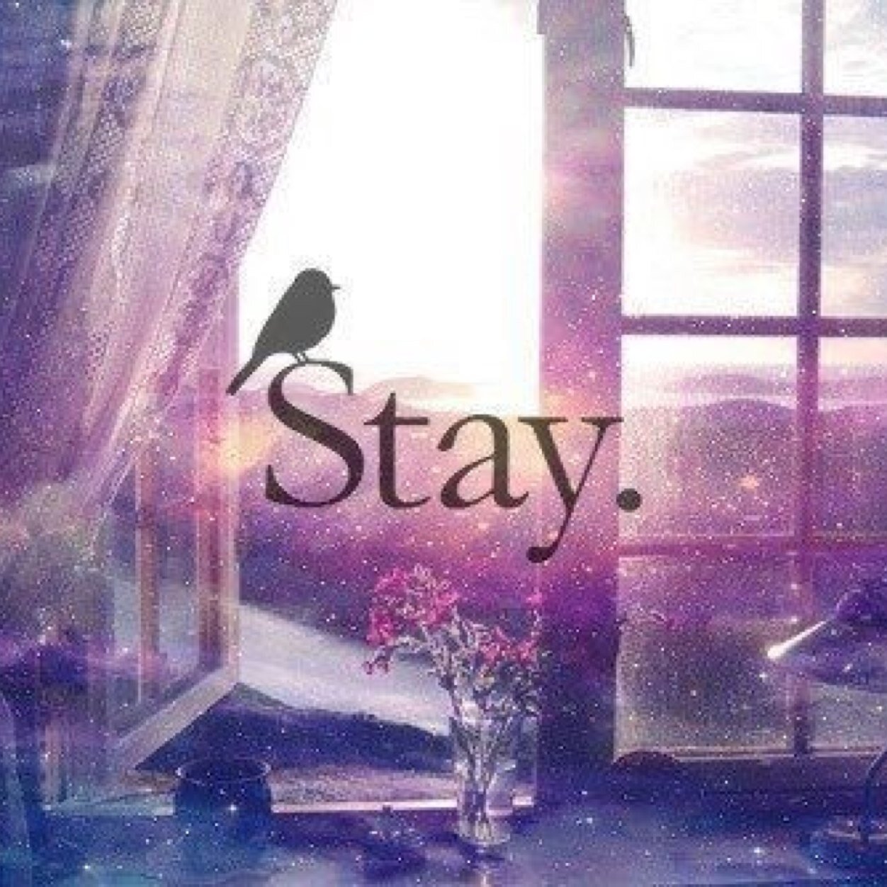 Sherlock. Writer. Soon-to-be London resider. Reader. Sherlock. Benedict. Swimmer. CumberCookie. Oh daughter. Swiftie. Sherlock.