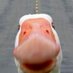 Pierre Lepers (@_pil_) Twitter profile photo