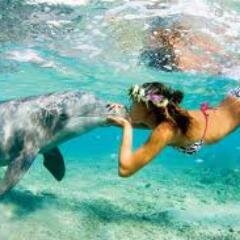Los animales son los mas hermoso que Dios creo, el que maltrata un animal no tiene perdón de Dios.