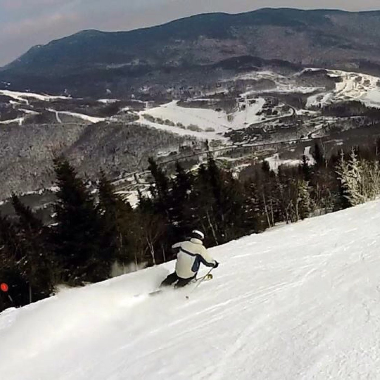 DavaRay41's profile picture. 