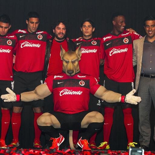 Levoy Al Equipo Xoloitzcuintles De Tijuana
