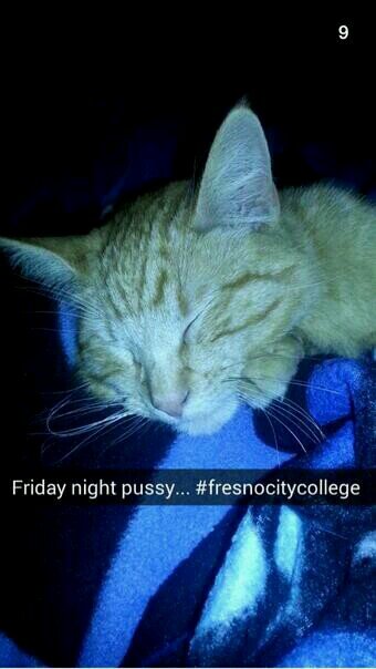 Maurici42075361's profile picture. 