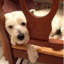 Carole-Lyne Mize - @RubyLyon - Twitter