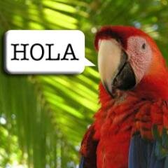 LEARNSPANISH___'s profile picture. LEARN SPANISH CLICK HERE----http://t.co/NB7o9VMbOV