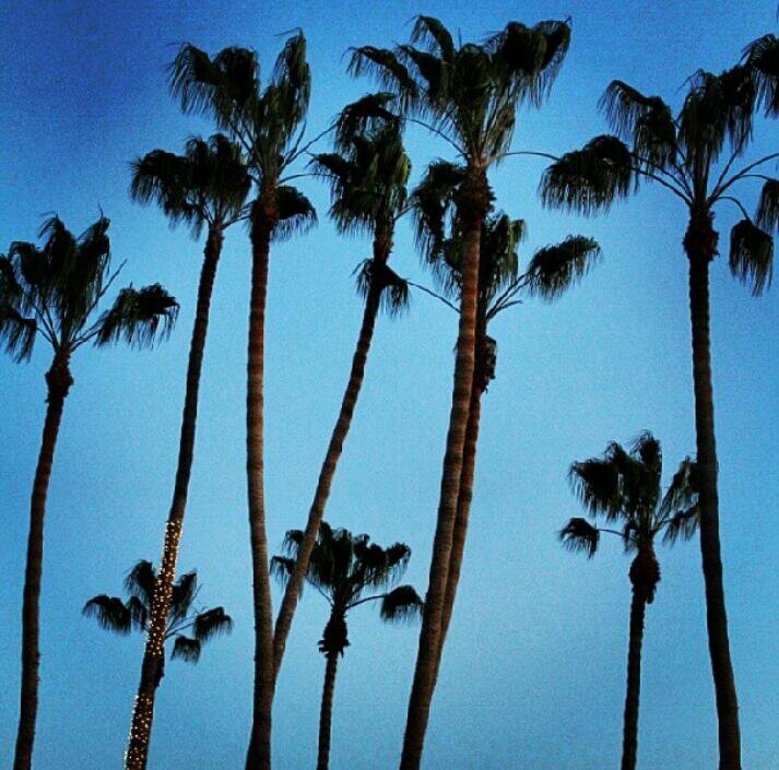 Live Love Long Beach                                                      IG @longbeachexposure