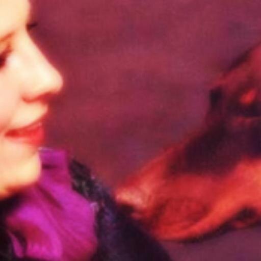 ReisaMaryStone's profile picture. I speak with animals, am a lifelong rescuer/rehabber, heal with energy and kick butt as an animal advocate.