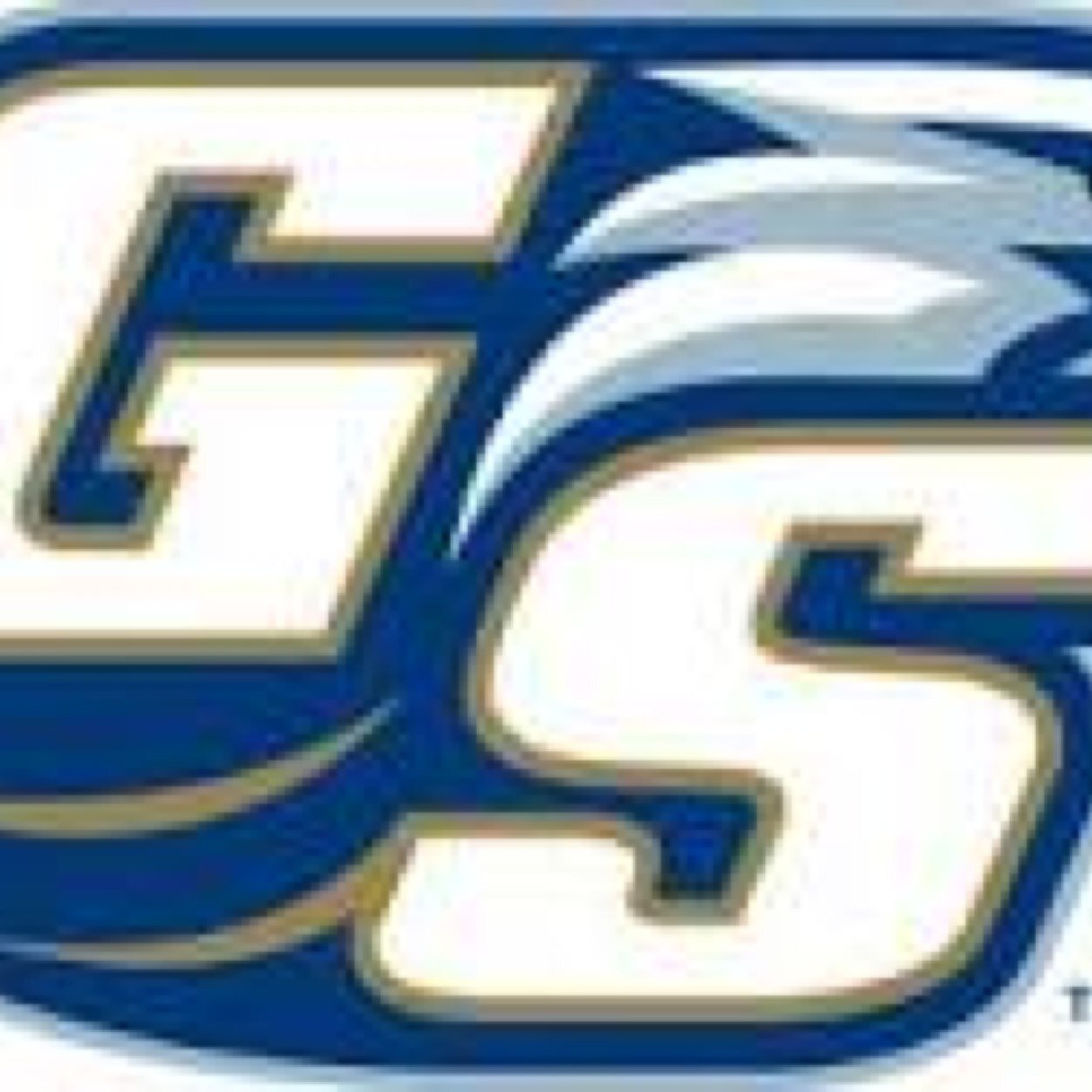 #Official GSU Confessions // Have any weird or fucked up confessions that have happened in Statesboro? Submit anonymously at the link down below ⬇️