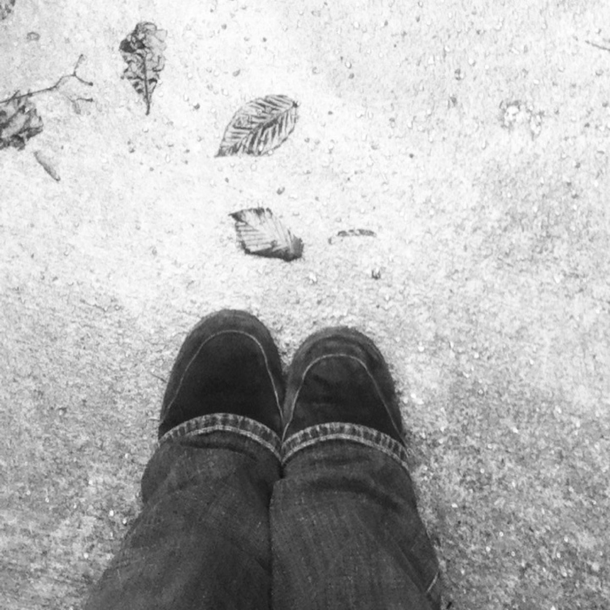 beth_fitch's profile picture. 