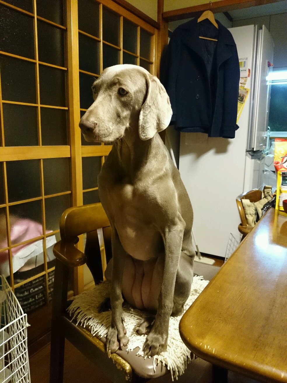 MJ_Evolution10's profile picture. 映画やアニメが大好きです！(アクション)