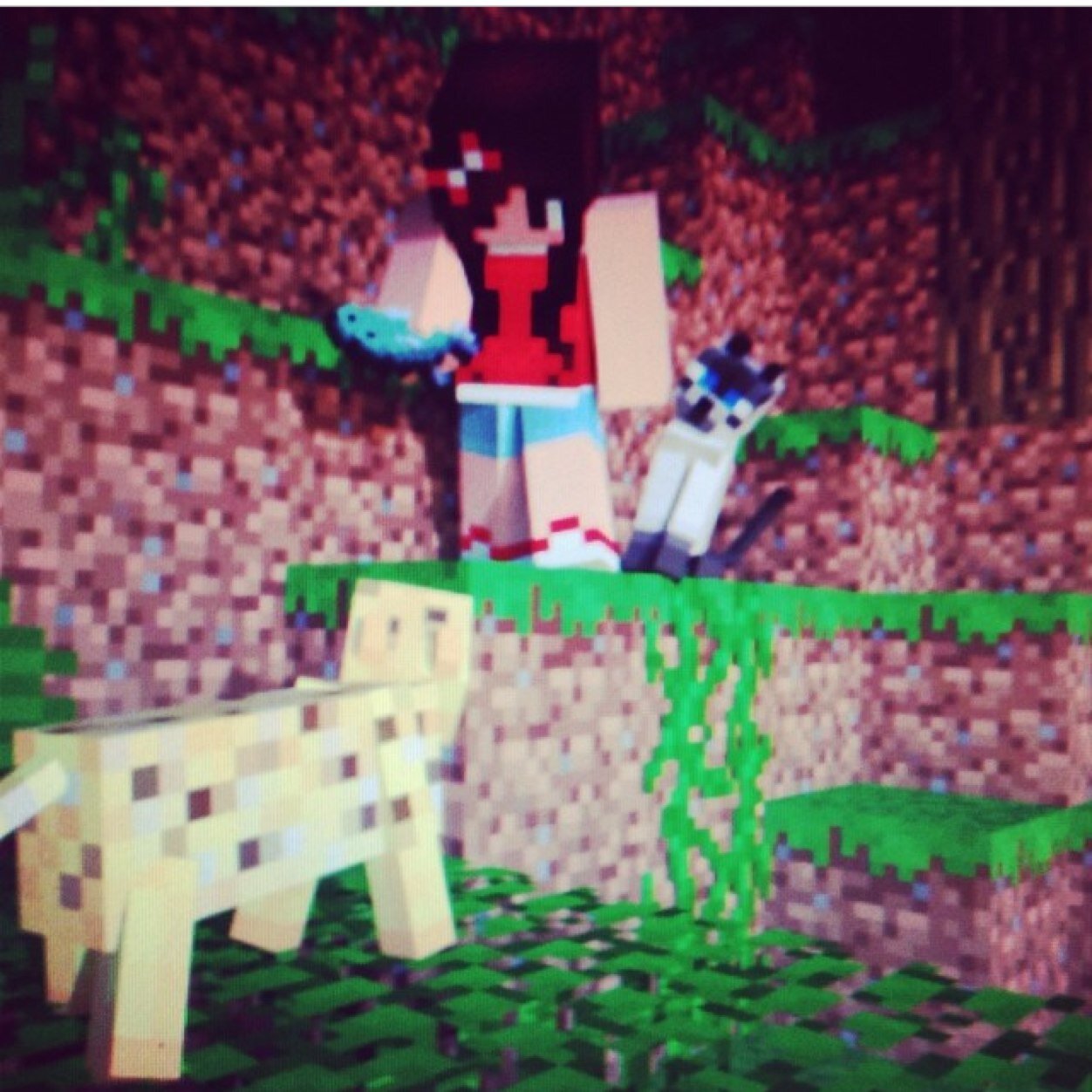 I love to draw! My youtube channel is ashleypage1123 go check it out plz! I love electronic music i love to play minecraft and talk to youtubers:)