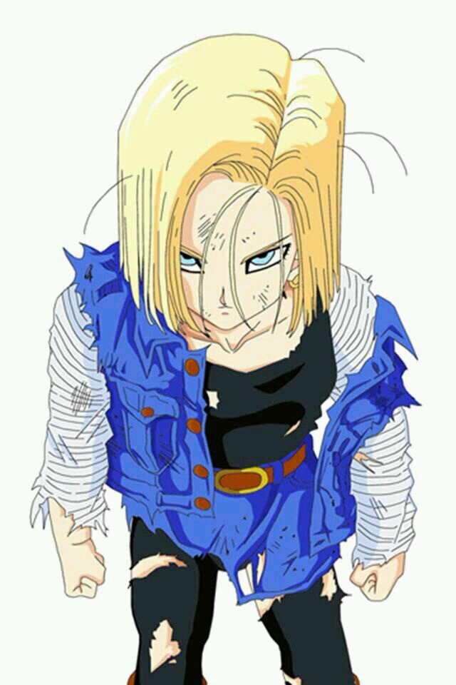 Artificial Human.《人造人間１８号》A cybernetic human, #18 modified by Dr. Gero. She is not entirely an android; she refers to both herself and her twin brother.