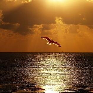 licamil's profile picture. trabajo en el colegio emmanuel bethania naci el16 de junio de 1986 en rd y soy liceyta