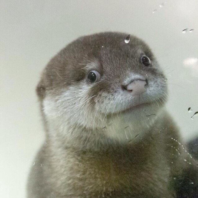 何があるかわからん。