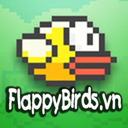FlappyBirdsVn's profile picture. FLAPPYBIRDS.VN | chơi games Flappy Bird trực tuyến miễn phí, Play Game Flappy Bird online free. FlappyBirds - trò chơi hot nhất hiện nay tại Việt Nam- toàn cầu.