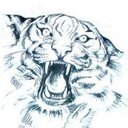 Abelardo camacho - @cazadorSherkAn - Twitter