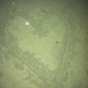 Jennifer Nations - @jep623 - Twitter