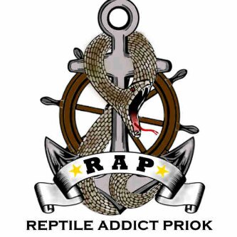 RAP adalah sebuah perkumpulan dari para pecinta reptil yang berdomisili di daerah Tanjung Priok, Jakarta Utara dan sekitarnya.
Yohan (081228155579)