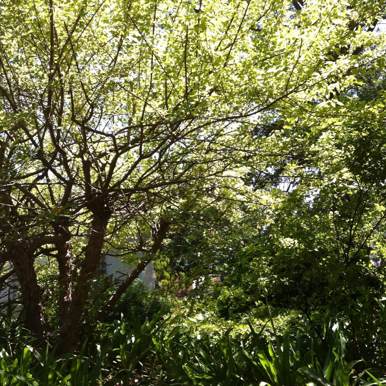 c_givi's profile picture. 