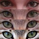 karina grey - @karyparker - Twitter