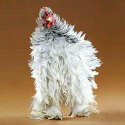 Ab609Anthony's profile picture. 