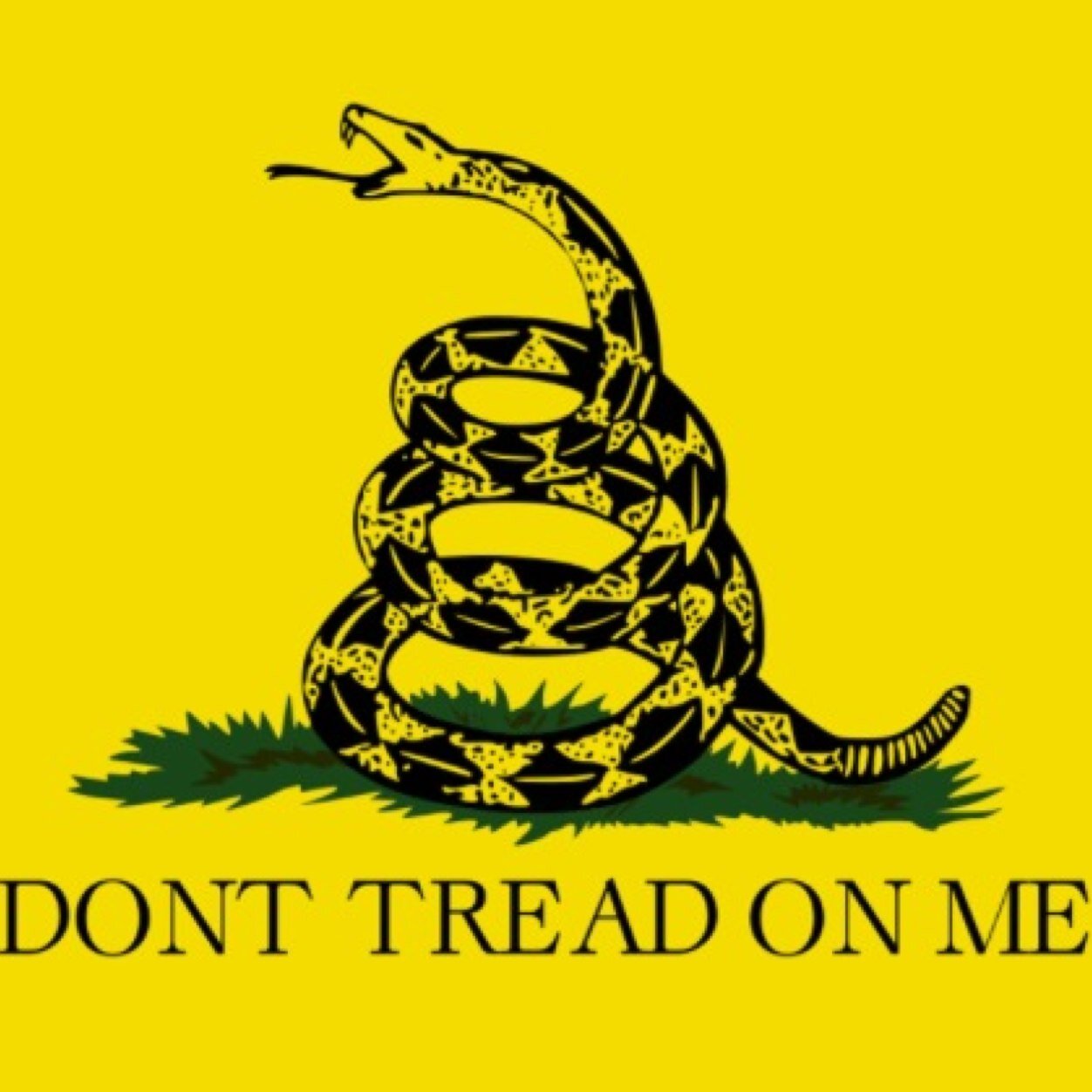 charlieamerson's profile picture. 