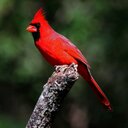 Tim Olson - @tolson_zero - Twitter