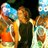 solocaribeinc's profile image