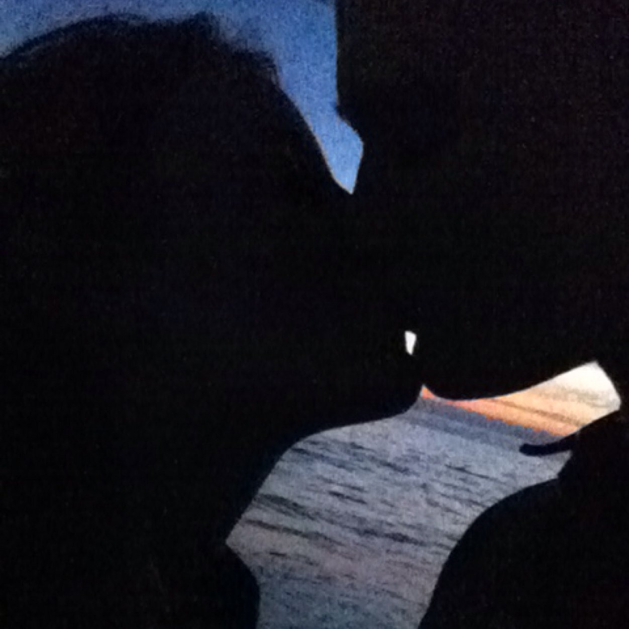 11-4-11 ❤Donovan Charles Cormier