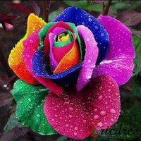 Denise Elliott (@hottprncss) 's Twitter Profile