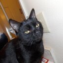 Tracy Biggers - @TracyBiggers1 - Twitter