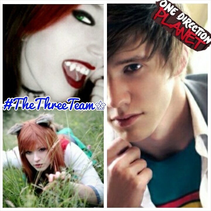 1DPTheThreeTeam's profile picture. 