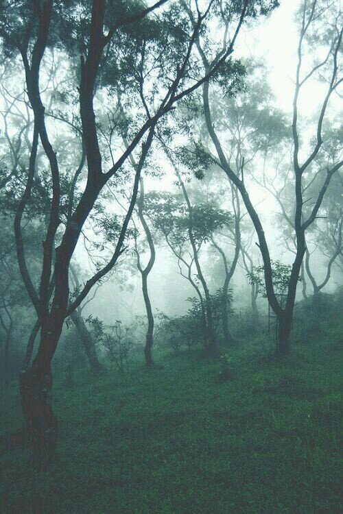 everything and nothing always haunts me