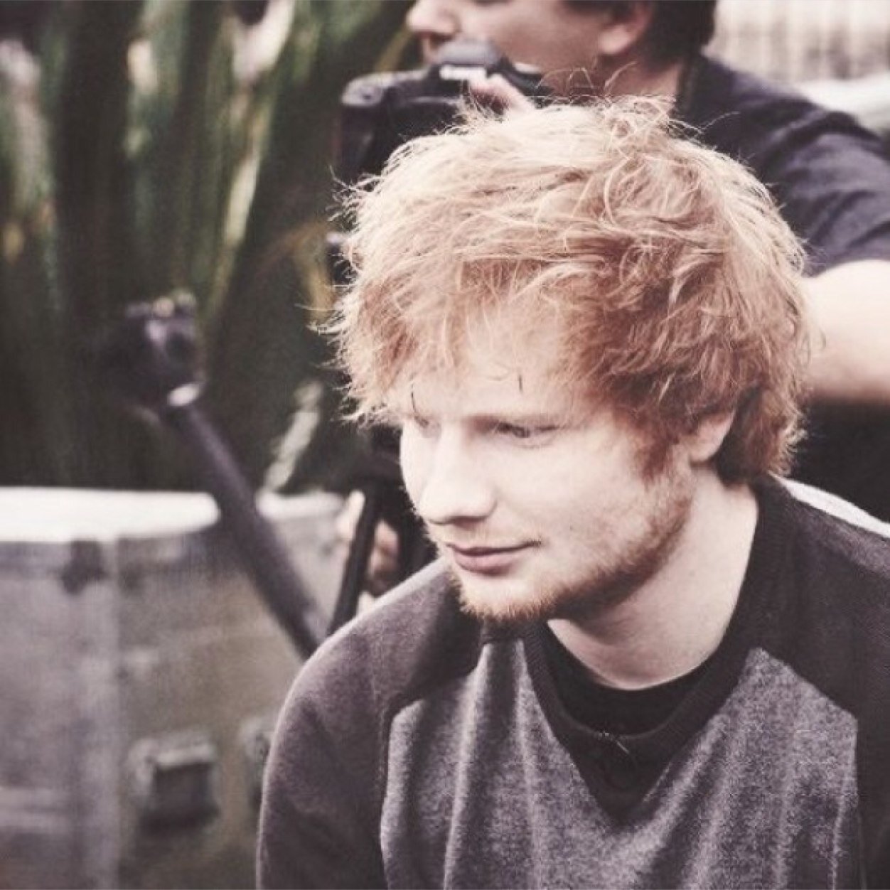 ♛grades drop, emotions flop, hearts stop. Welcome to the Ed Sheeran fandom.♛