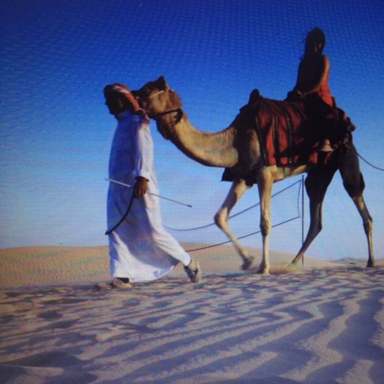 fatty042's profile picture. 