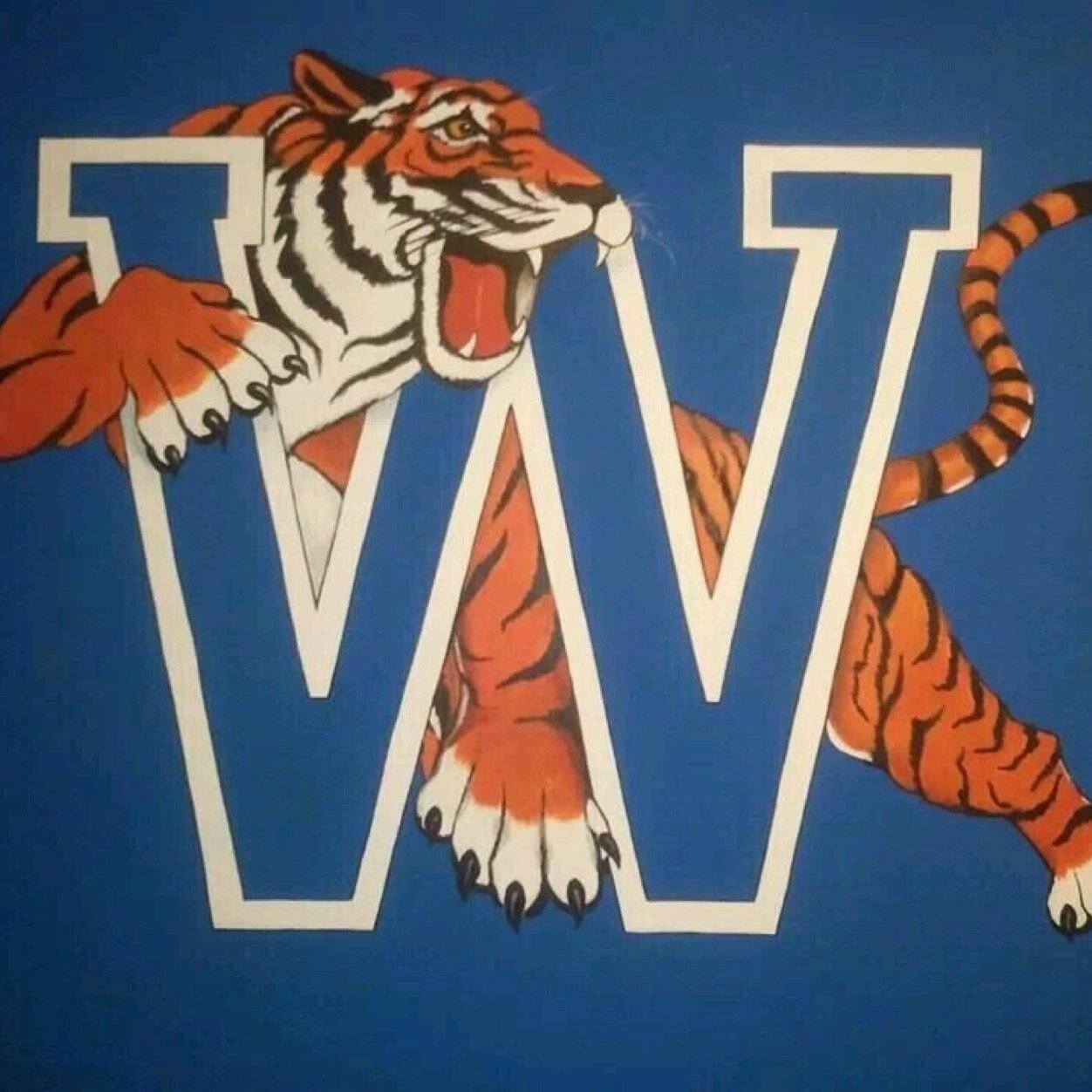 sevewebb Profile Picture