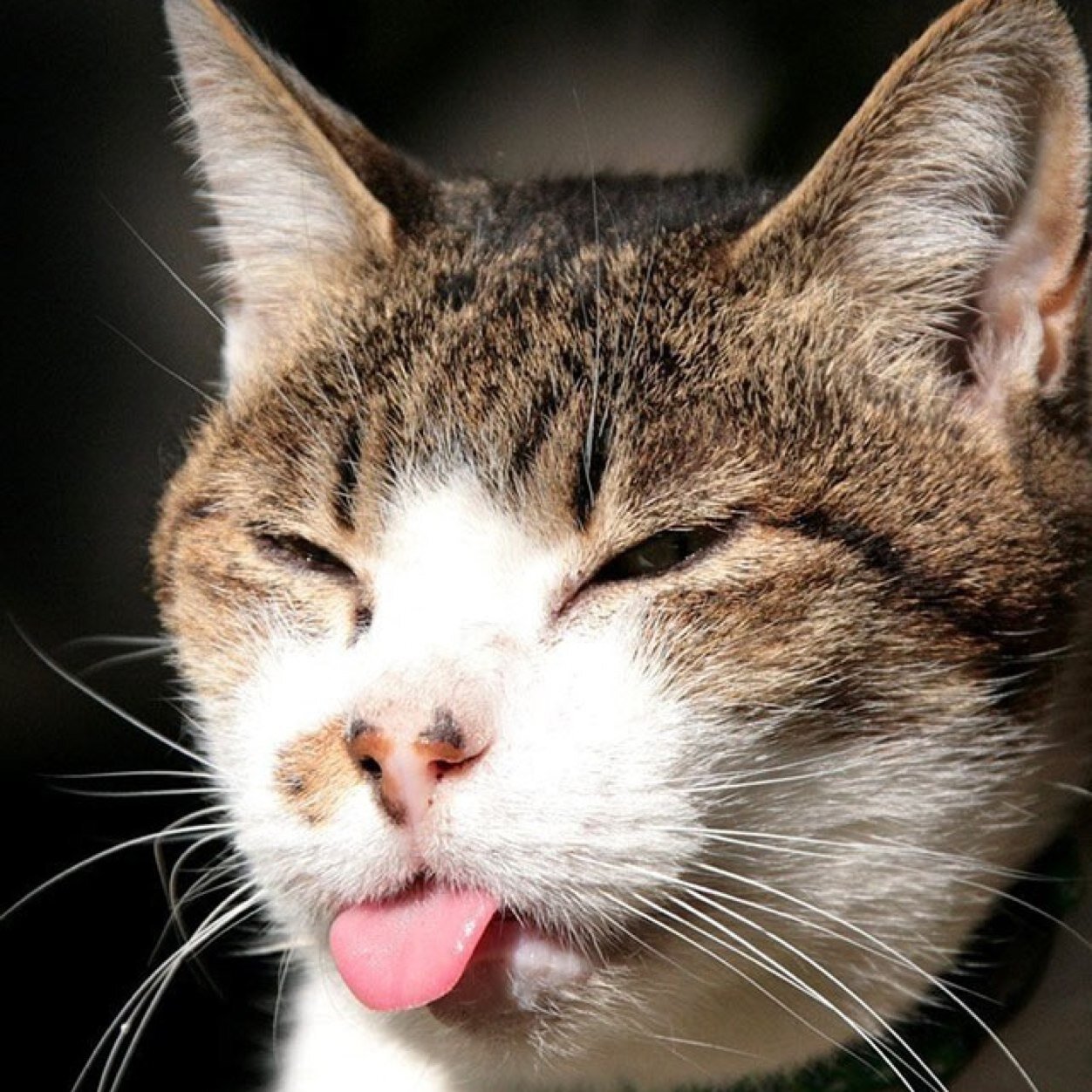 WilsonDerryn's profile picture. 