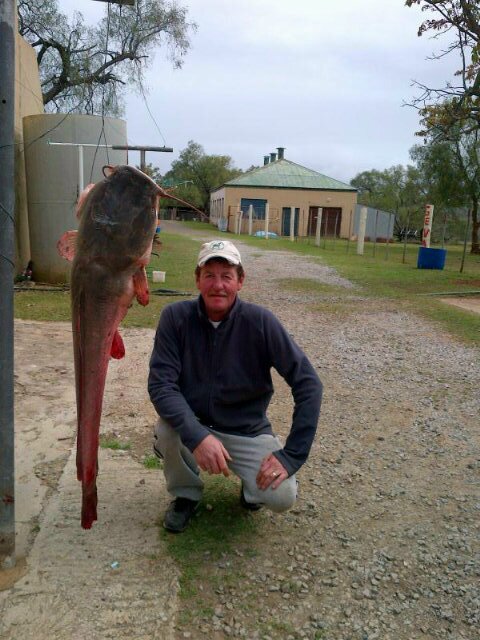 paulnel56's profile picture. Semi-Retired banker+farmer.love people,love nature.love poems.love divas and love fishing.be kind to the human being and love all.embrace life.