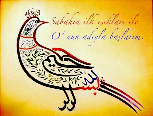 ANADOLUD4N's profile picture. Hiç bir beklentiye girmeden En büyük ücret olan Rızâ-i ilahiyi esas maksat-gaye yaparak sürekli O'nun yolunda koşturmak..M.C.