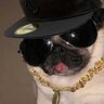 mellynumnum's profile picture. woman. mother. pug lover.