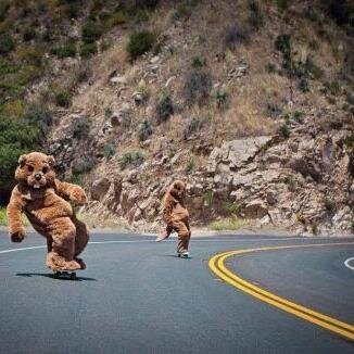 dd_'s profile picture. melbourne-girl