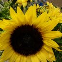 Don Ann Eldridge - @DonAnnEldridge - Twitter