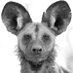 JC Faul (@jcfaul) Twitter profile photo